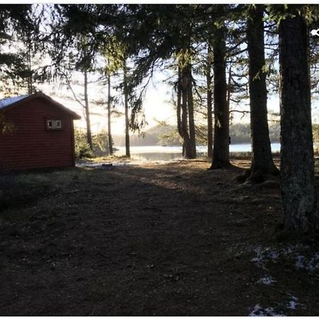 Cabin In The Woods, Lolandsvannet Near Kristiansand Vennesla Eksteriør billede