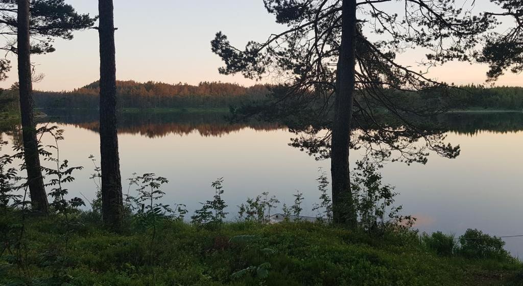 Cabin In The Woods, Lolandsvannet Near Kristiansand Vennesla Eksteriør billede