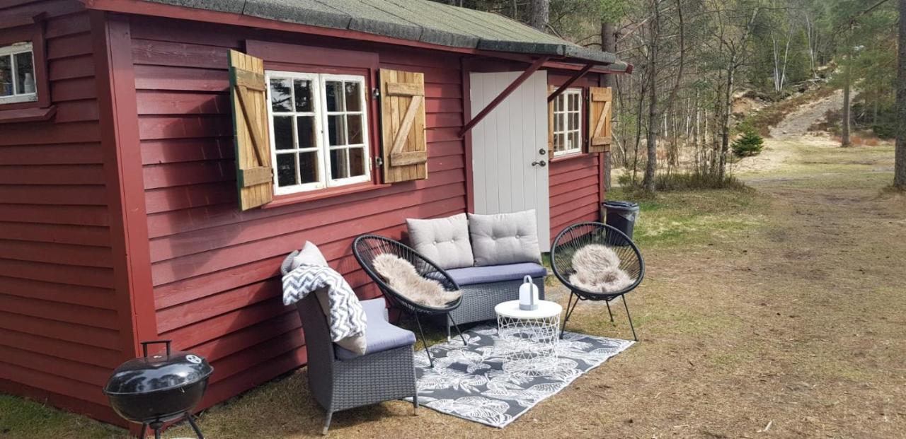 Cabin In The Woods, Lolandsvannet Near Kristiansand Vennesla Eksteriør billede