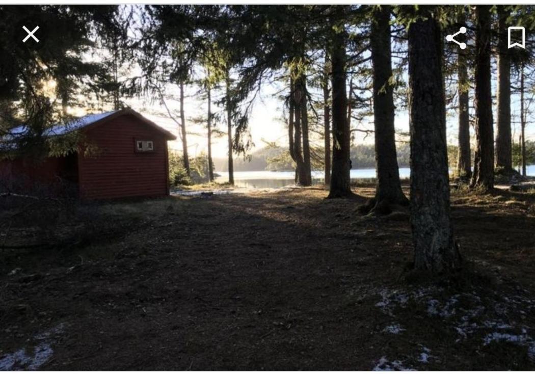 Cabin In The Woods, Lolandsvannet Near Kristiansand Vennesla Eksteriør billede